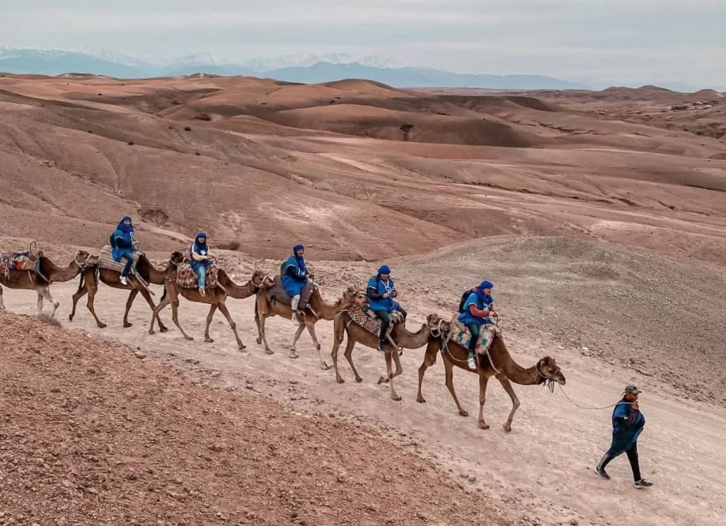 Camel caravan in the Agafay desert